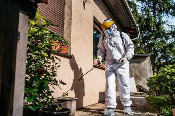 Best Affordable Pest Control Services  in Dwight, IL