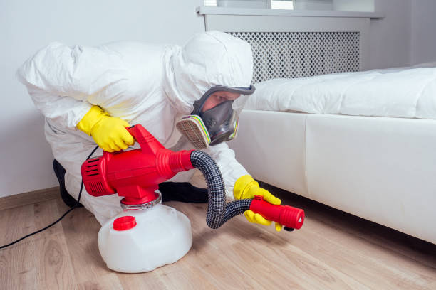 Reliable Dwight, IL Pest Control Solutions