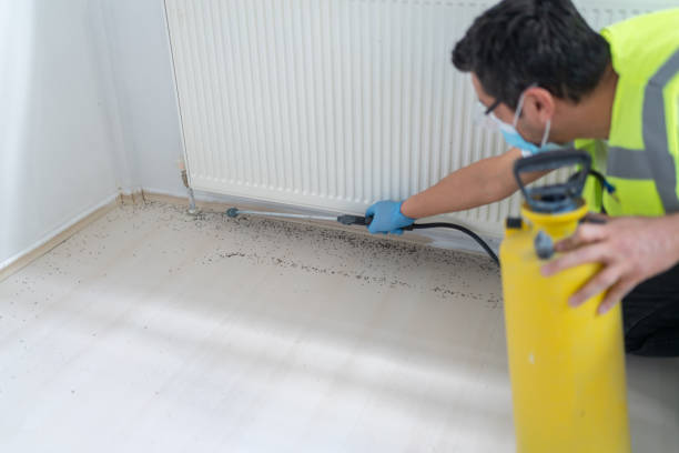 Best Mosquito Control Services  in Dwight, IL